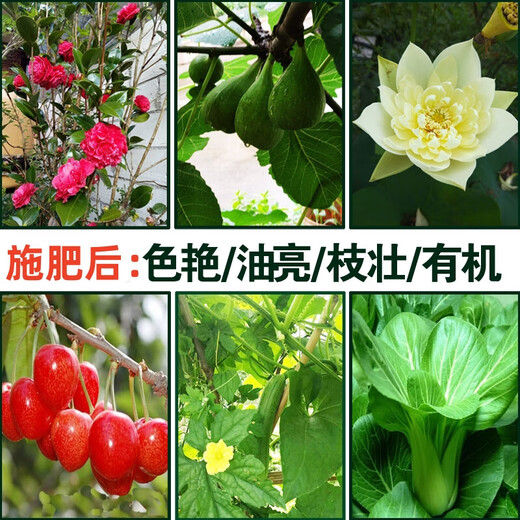 U.S. foreign urea quick-acting nitrogen fertilizer for flowers, vegetables and fruit trees, cauliflower, household potted plants, general fertilizer Urea (nitrogen fertilizer) 3Jin Jin is equal to 0.5kg