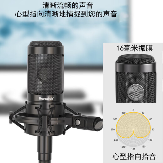 Burren Bell BL-500 condenser microphone audiobook recording equipment professional anchor recitation dubbing broadcast set recording studio grade BL-500 + Yamaha UR12 set (book recording recommended)