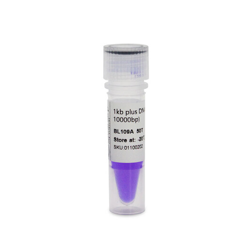BIOSHARP BL109A 1kb plusDNA Marker molecular weight standard BL109A(50T)