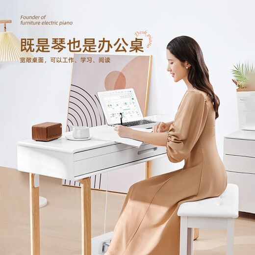 Betsy B339 Desk Electric Piano 88 Keys Heavy Hammer Novice Entry Drawer Electronic Piano Home Piano B339 Heavy Hammer Keys - Matt White + Square Legs