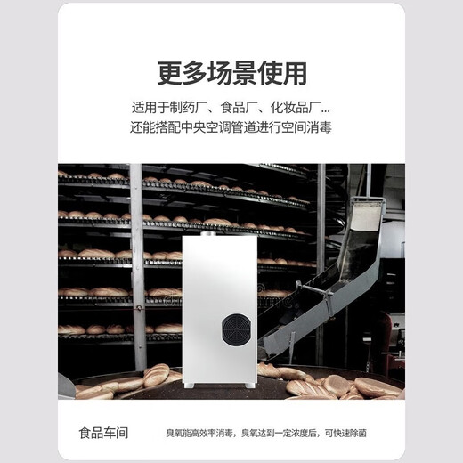 Feili duct type ozone generator central air conditioning fully automatic control ozone disinfection machine equipment food factory industrial clean workshop sterilization and deodorization 840F 40g ozone 400