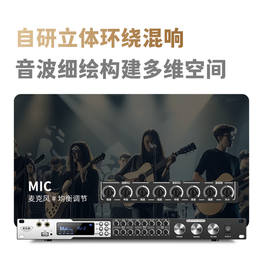 Melody DSP6300 karaoke reverberation digital audio preamp effector home theater anti-howling mixer processor including microphone mixer equalizer DSP6300+ML3208 variable frequency microphone set standard version