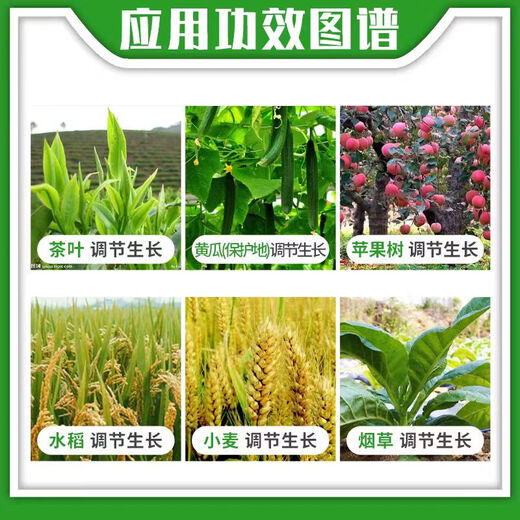 Bihu Germany imported Bihu gibberellic acid, indole, brassinoids, flower and fruit protection, antidote to pesticide damage, plant growth regulator 100g