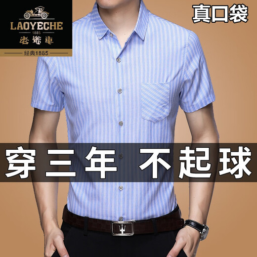 老爷车高端100%纯棉短袖衬衣男2024夏季条纹中年商务全棉衬衫男装薄寸衫 短袖8568兰色 180/2XL建议145-160斤