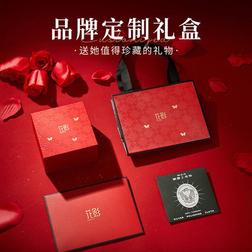 Huaying (HUAYING) high-end brooch women's corsage light luxury suit jacket pin anniversary birthday gift for wife and girlfriend imported zircon luxury star brooch