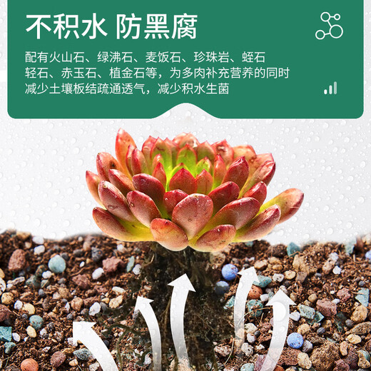 Manlife 5KG succulent soil granular soil planting soil succulent special soil nutrient soil plant adult plant 50% particles + 50% soil