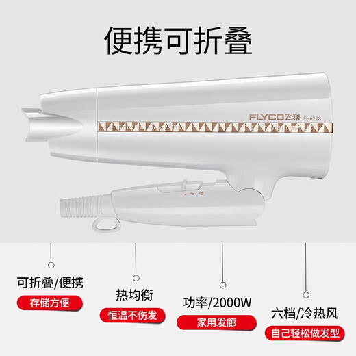 飞科（FLYCO）电吹风机家用宿舍大功率吹风筒便携可折叠式吹风机冷热大风负离子 FH6228(2000w负离子)