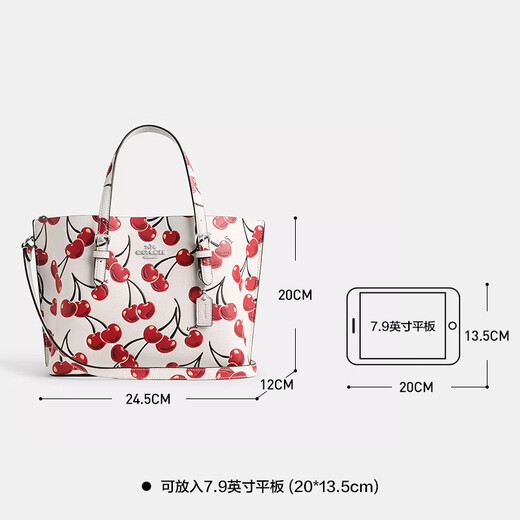 Entrenador de bolsas para mujeres bolso Mollie Mollie Casual Casual de oficinas Simple Trabajador Luz de lujo para mujeres CY695 SVCAH