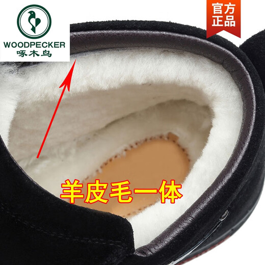 啄木鸟冬季男士棉鞋真皮加绒翻毛磨砂皮高帮保暖棉皮鞋防滑反绒牛皮男鞋 拉链棕色 9855 38