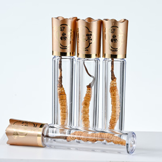 San Dikang Cordyceps sinensis New dried Cordyceps nourishing gifts gifts gifts for elders Nutritional products 4 sticks/gram 20 sticks champagne gold crystal tube gift box