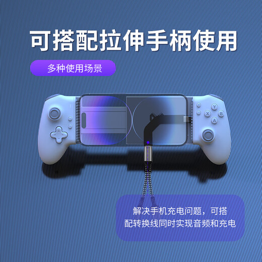 睿迈特手机平板尾插保护器PD快充游戏充电苹果安卓TYPE-C接口通用便携多功能尾插保护器传输 H3尾插TYPE-C接口