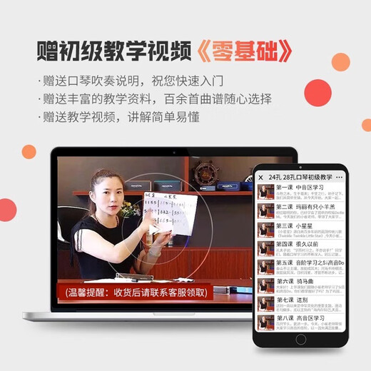 天鹅德国进口音簧天鹅口琴成人复音重音C调高端专业演奏级乐器 28孔复音C调【高端成人演奏】