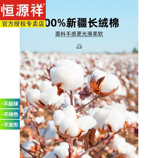恒源祥男纯棉免烫长袖白衬衫男2025年春秋季休闲正装西装衬衣男 蓝三角6636 41