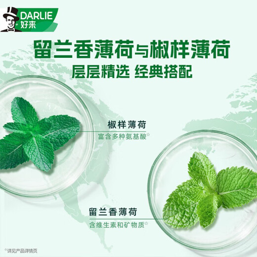 DARLIE好来(原黑人)山姆同款经典双重薄荷牙膏清新口气固齿去渍3支675g