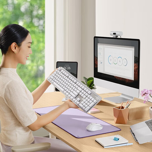 罗技（Logitech）K865无线机械键盘 蓝牙键盘 104键全尺寸键盘红轴 游戏键盘（K845升级款） 日常商务办公键盘 K865白色-薰衣草键帽款