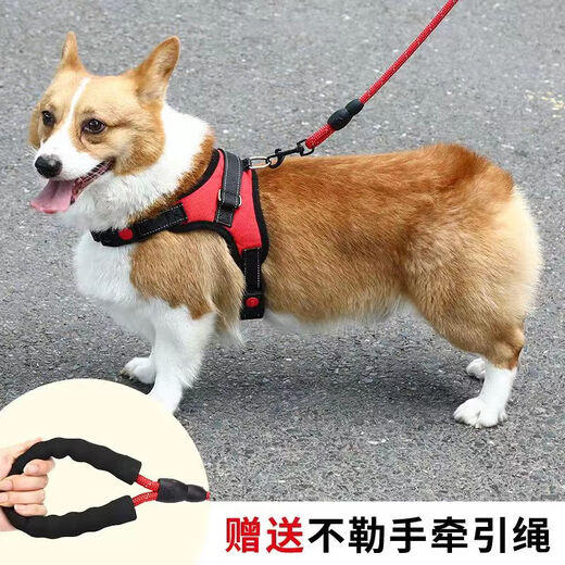 PPO dog leash vest type dog walking rope Teddy Corgi dog leash medium-sized dog small dog pet harness chest harness + 2 meters rope red S code suitable for 10-18 Jin Jin is equal to 0.5 kg.