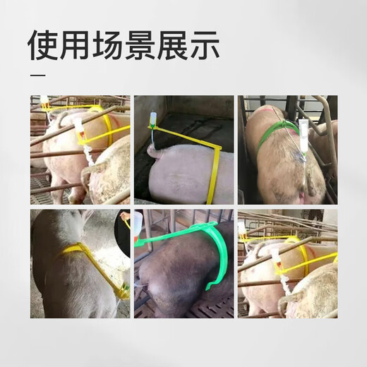 Mushide automatic insemination stent for pigs, sow rack, pig back clip, artificial insemination pig breeding pressure back clip, breeding clip, stretchable large + stainless steel bracket