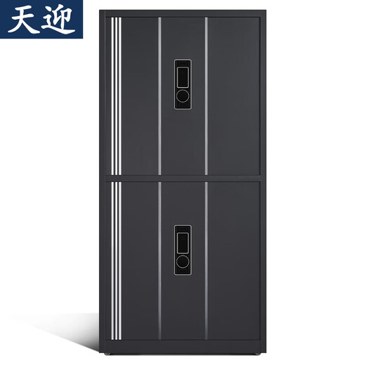 天迎保密柜文件柜智能锁具纯黑通双节TY-BM5266