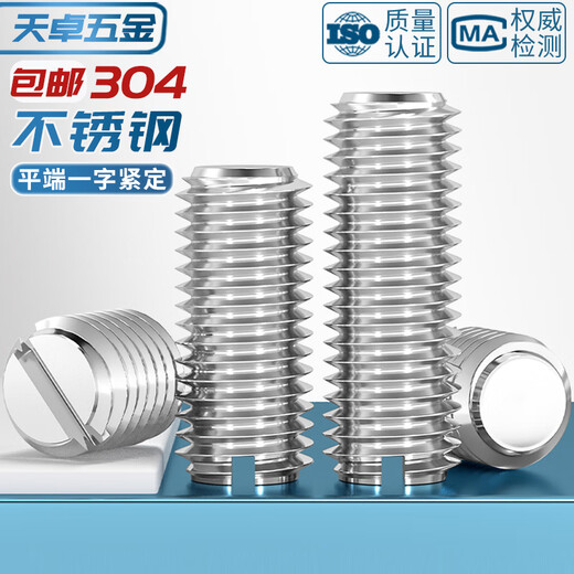 Tianzhuo Hardware 304 stainless steel flat end tight slotted screw machine meter without head wire M1.6M2M3M4M5-M10 M2*6-10 pcs