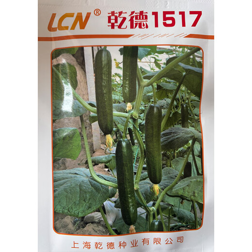 汇种草农1517水果黄瓜种子上海口感小青瓜无刺水果黄瓜种子嫁接苗 干德1517黄瓜种子 1000粒