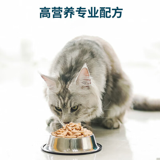 XIANLANG Grain-free Freeze-dried Raw Bone Meat Full Price Cat Food Staple Milk Cake Kittens and Adult Cats All-stage Trial 12g
