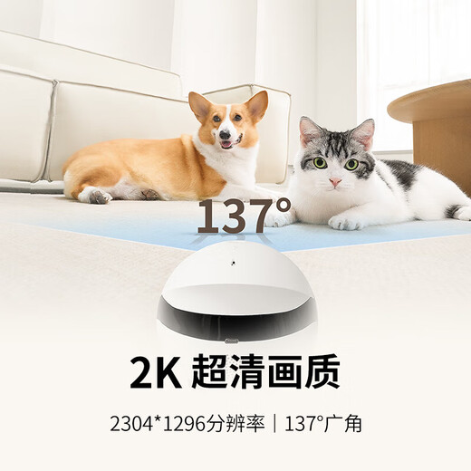 Aktivieren Sie das ganze Haus Mobile Walking Camera EBO Begleiter Roboter Fernbedienung Fernbedienung Wireless Überwachungskamera Rola Mini Pet Begleiter Spielzeug Roboter Rola Mini-64G (kann für 4-6 Tage aufbewahrt werden)