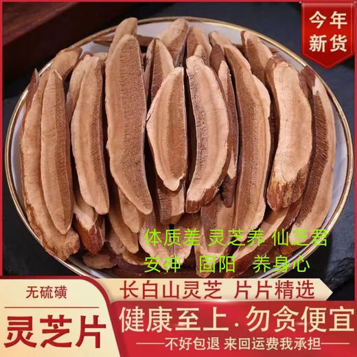 Huasetang Changbai Mountain Red Ganoderma Slices Northeastern Five Color Ganoderma Wild Boiled in Soup, Water, Tea and Wine Purple Ganoderma Spores Powdered Selected Red Ganoderma 500g (Large Piece) Super Value Recommendation