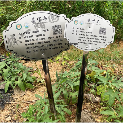 Customized stainless steel tree sign scenic spot plant greening flower sign tree introduction hanging sign ground sign 20x15cm