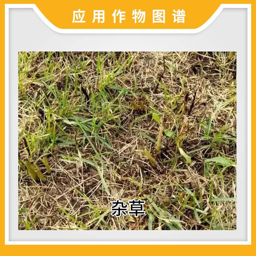金帆达金帆达 757草甘膦铵盐 草甘磷柑橘园杂草低毒农药除草剂 50g