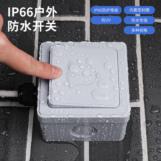 International electrician outdoor waterproof switch IP66 outdoor waterproof box surface-mounted rainstorm light power supply dual control protection one-on switch