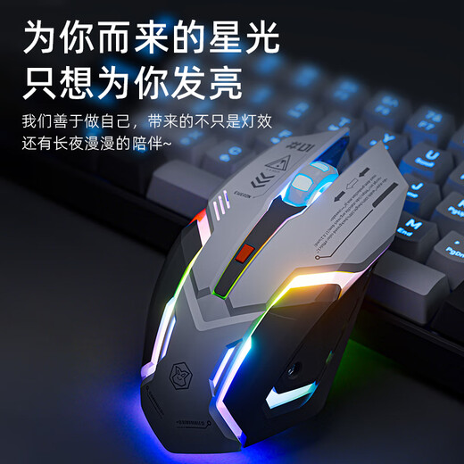 前行者G308无线鼠标可充电Typec静音蓝牙三模游戏电竞有线办公台式电脑笔记本2.4G通用外设 炫酷黑【无线双模版】RGB灯效