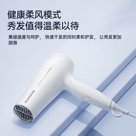 FLYCO 飞科电吹风机家用吹风筒速干恒温冷热风学生宿舍可折叠大功率电吹风筒 FH6232【恒温6档调节 2000W】