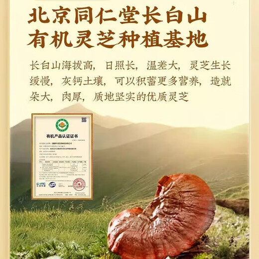 北京同仁堂 破壁灵芝孢子粉 提高免疫力 高质三菇健康滋补营养品送礼礼品 2盒/60袋【送礼袋】