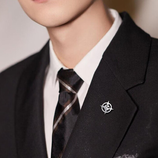 
VISIT Hexagram Brooch Men's Suit Small Collar Pin Business Collar Pin Trendy Women's Anti-Lighting Buckle 2 Hexagram Silver Gifts