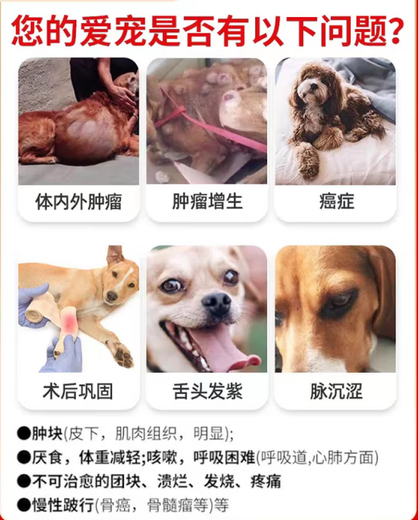 SF Express Yidong Keliukangtai Tablets for Pet Cats, Dogs and Dogs General Oral Breast Skin Tumor Cauliflower Tumor Hyperplasia Liver and Gastric Tumor Solid Tumor Auxiliary Tablets 2 Boxes of Keliukangtai Tablets 40 Tablets/Box Anti-Counterfeiting Checkable