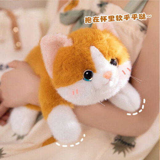 威尔通（WELTSTON）毛绒玩具玩偶抱枕摆件靠垫娃娃生日礼物女生 仿真小橘猫咪公仔