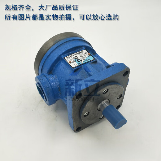 Jingsenzhen medium pressure vane pump YB-D6.3 YB-D80