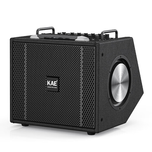 KAEM8 audio British singing speaker official flagship outdoor karaoke home KTV live broadcast electric blowpipe saxophone singing KAE-M8 black (rated 330W power)