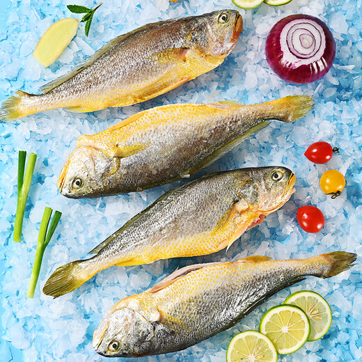 Member Store No. 1 Ningde Sanguai Yellow Croaker, net weight 2Jin Jin is equal to 0.5kg / 4 large yellow croakers, deep sea fish, frozen seafood and aquatic products, fresh