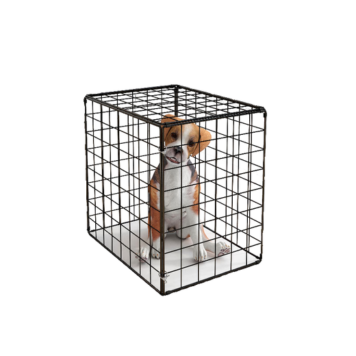 Cat Cage Home Super Large Free Space Cat Nest Dog Cage Puppy Cage Six Sides Portable Folding Pet Cage Black 30*20*20cm 4Jin Jin is equal to about 0.5 kg