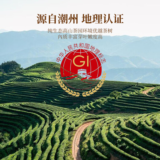 中岭凤凰单枞品鉴装鸭屎香蜜兰香乌龙新茶潮州6款组合试饮集48g