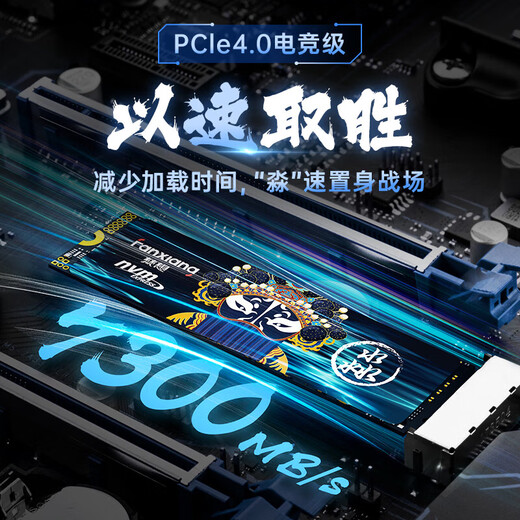 FANXIANG S500PRO/S690/S790 SSD M.2 Protocolo NVME Yangtze Storage PCIe4.0 1TB 2TB FANXIANG S790E1TB PCIE4.0 Estándar: disipador de calor + tornillo + destornillador