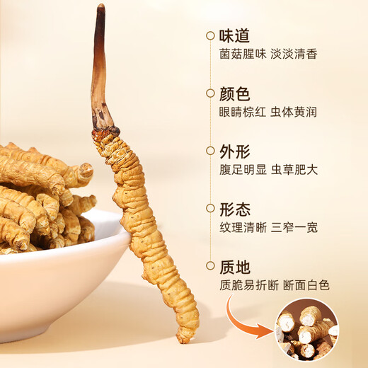 
Cordyceps sinensis, Nagqu, Tibet, Wild, Unbreakable Grass, Dried Cordyceps 5 pieces/g 20 pieces of Cordyceps health gift box