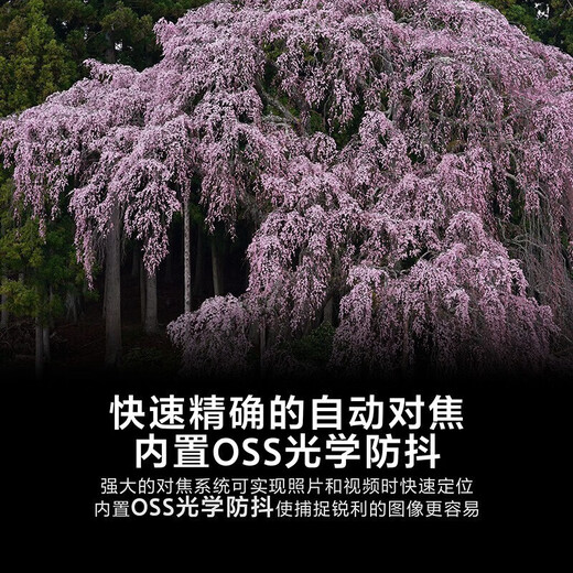 Sony (SONY) FE 70-200mmF2.8 GM OSS G master large three-element telephoto zoom lens SEL70200GM2 second generation official standard 77mm