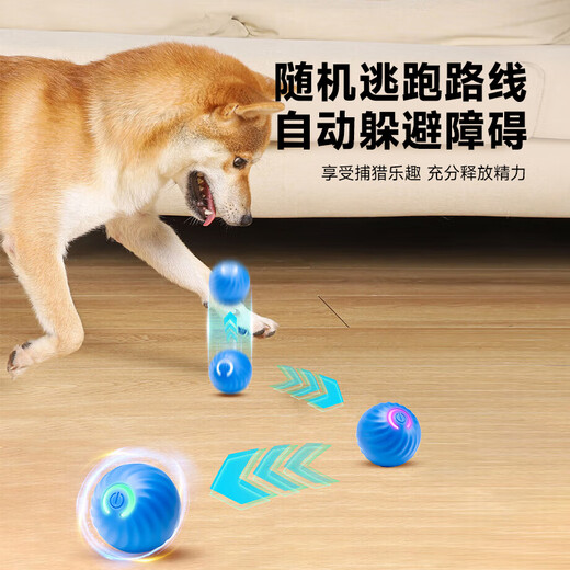 Huanpet.com pet dog toy dog amusing artifact automatic dodge ball electric dog walking ball for puppies to play by themselves to relieve boredom and resist bites