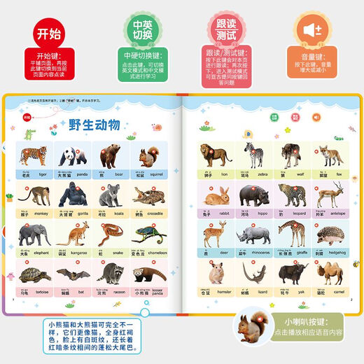 Guangai Children’s Early Education 03-6 Ladung chinesischer und englischer E-Books Point Lesen Lernmaschine Baby Pinyin Hörbücher Frühschulaufklärung + frühe Bildung Pinyin Lademodell