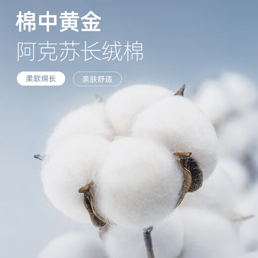 雅戈尔（YOUNGOR）长袖衬衫男DP免烫衬衫纯棉面料抗皱易打理新品 YLDP10171BJA白色 41