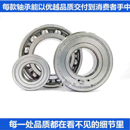 进口轴承 6220 6221 6222 6224 6226 6228 6230 2Z 2 6226M/C3 其他