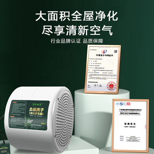 Jianshijia Negative Ion Generator Home Office Small Particle Size Negative Oxygen Ion Machine Air Purifier Ecological Grade Health Care Instrument Ruyao White 500 Million Negative Ion 40 Gold Needle Emitting Head (Send Test Pen)