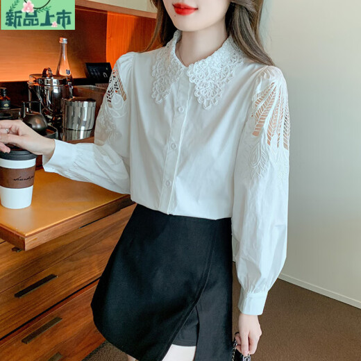 艾妃琳刺绣纯棉衬衫女2025年秋装新款时尚绣花白色衬衣宽松百搭长袖上衣 CY9227 白色 S 【建议75-95斤】